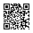 bsod蓝屏伪装者v1.0单文件版-趣奇资源网-第13张图片