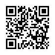 mGBA模拟器v0.10.4便携版-趣奇资源网-第13张图片