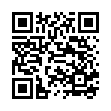 qBittorrent v5.1.1.10增强便携版-趣奇资源网-第13张图片