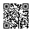 《烟花模拟器》v2025.4.2中文版-趣奇资源网-第18张图片